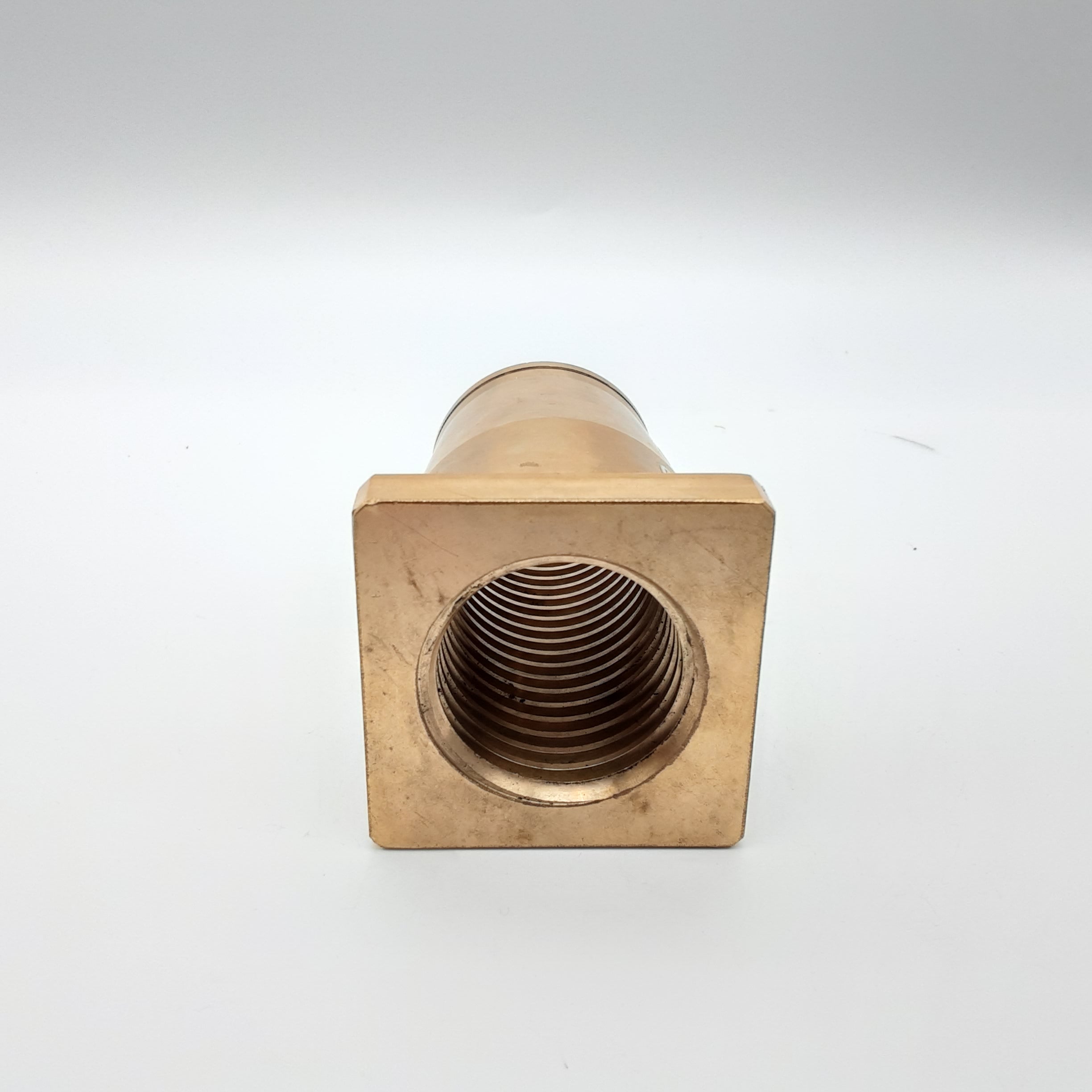 RAV00053-3.png