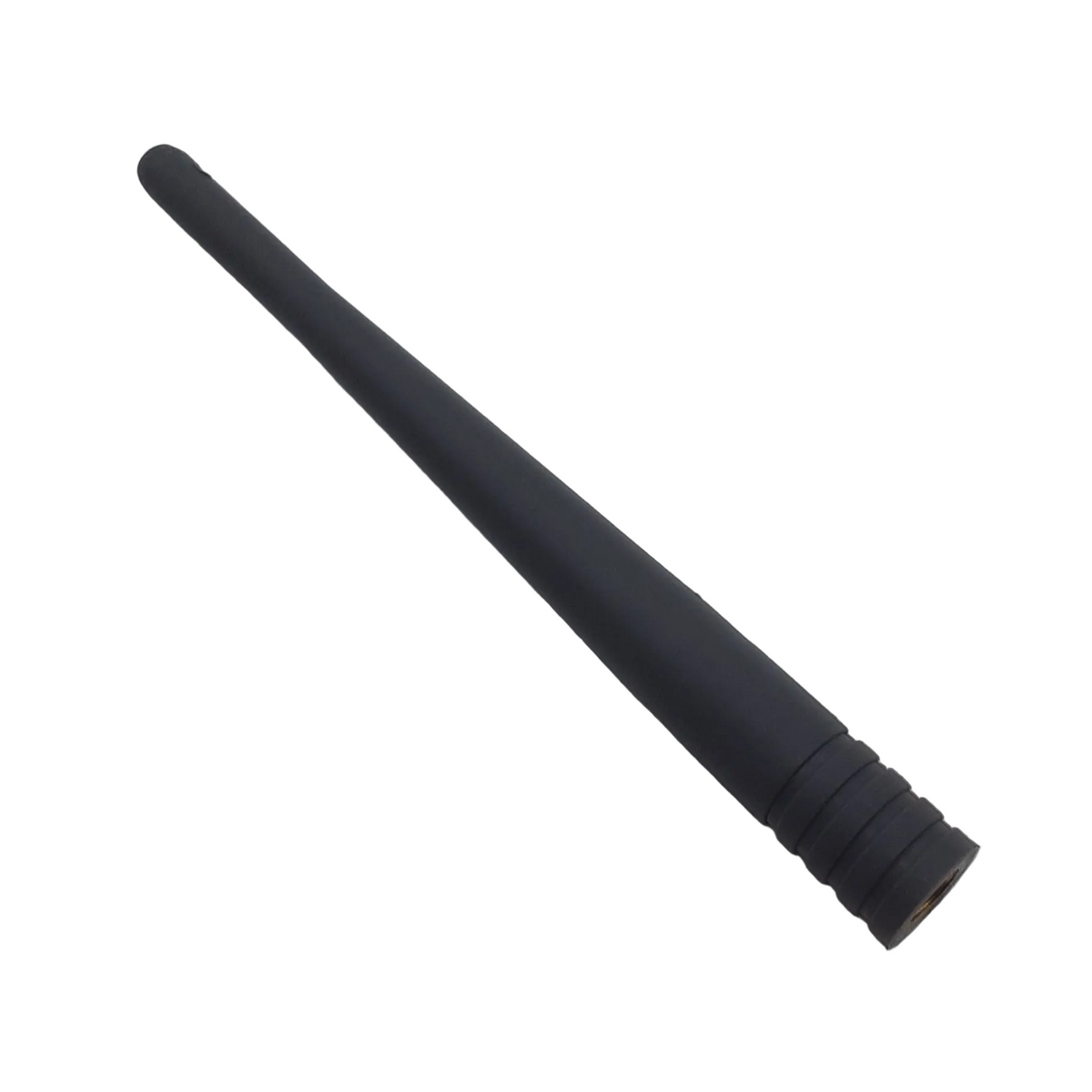 RAV00407-1.png