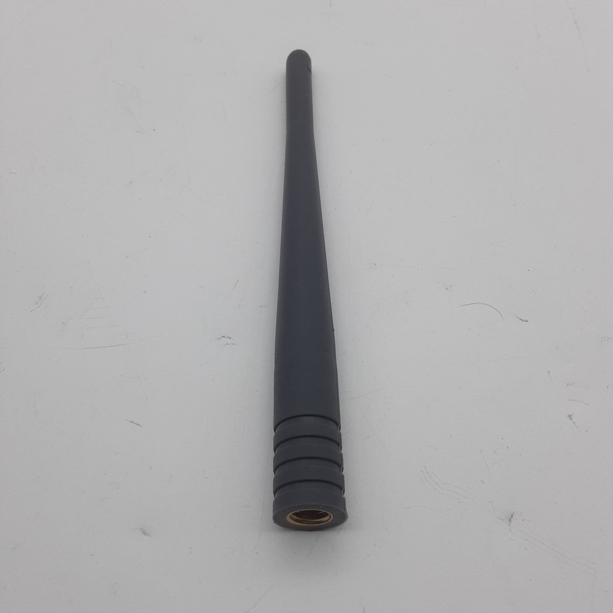 RAV00407-2.png