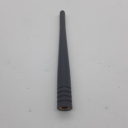 RAV00407-2.png